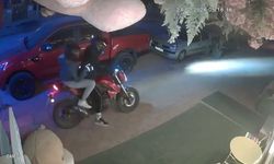 Dükkanın önündeki oyuncak ayıyı çaldılar