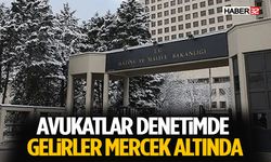 Avukatlar Denetimde: Gelirler Mercek Altında