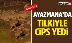 Ayazmana’da Tilkiyle Cips Yedi