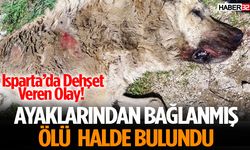 Ayaklarından Bağlanmış Ölü Halde Bulundu