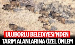 Uluborlu Belediyesi’nden Tarım Alanlarına Özel Önlem