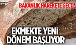 Ekmek Üretiminde Yeni Standart