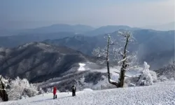 3 Şubat Salı Hatay'da okul yok mu (HATAY VALİLİĞİ)? Hatay okullar tatil mi?