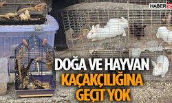 Doğa ve Hayvan Kaçakçılığına Geçit Yok