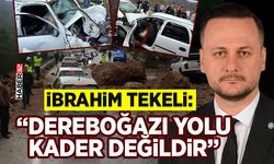 İbrahim Tekeli: “Dereboğazı Yolu kader değildir”
