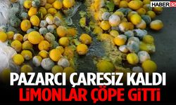 Yüksek Fiyat Yüzünden Limonlar Çöpe Gitti