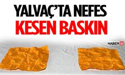 Kâğıda Emdirilmiş Zehirle Yakalandılar!