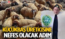 Küçükbaş Üreticisine Nefes Olacak Adım