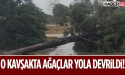 O Kavşakta Ağaçlar Yola Devrildi!