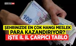 Şehrinizde en çok hangi meslek para kazandırıyor? İşte il il çarpıcı tablo
