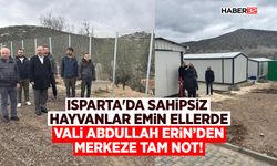 Isparta'da Sahipsiz Hayvanlar Emin Ellerde