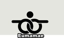 İstanbul'da Güvenli ve Kaliteli Hizmet Deneyimi - Eumamae