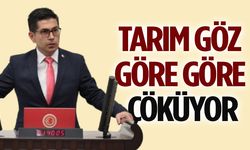 Tarım Göz Göre Göre Çöküyor