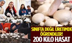 Sınıfta Değil Üretimde Öğrendiler! 200 Kilo Hasat