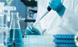 Laboratuvar Hizmeti Alınacaktır