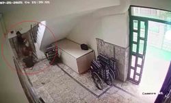 Özel eğitim merkezinin düşmedi dediği otizmli gencin düştüğü anın görüntüleri ortaya çıktı
