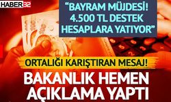 Bu Mesajı Aldıysanız Dikkat! Bakanlık Açıklama Yaptı