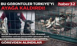 Bucak Belediyesi Sokak Hayvanları Bakımevi'ndeki feci görüntülerin ardından ilgili personeller görevden alındı