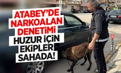 Atabey’de Narkoalan Denetimi: Huzur İçin Ekipler Sahada!