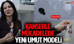 Endemik Bitkiden Kanserle Mücadelede Yeni Umut Modeli