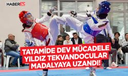 Tatamide Dev Mücadele: Yıldız Tekvandocular Madalyaya Uzandı!
