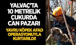 Yavru Köpek AFAD Operasyonuyla Kurtarıldı!