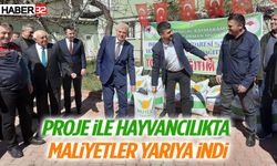 Proje ile Hayvancılıkta Maliyetler Yarıya İndi