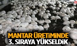 Isparta Mantar Üretiminde 3. Sıraya Yükseldi