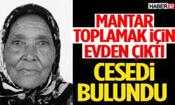 Mantar Toplamak İçin Evden Çıktı Kötü Haber Geldi!