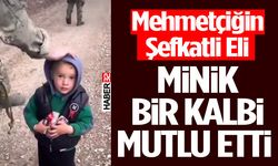 Mehmetçiğin Şefkati Minik Yüreği Isıttı