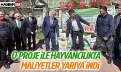 Proje ile Hayvancılıkta Maliyetler Yarıya İndi