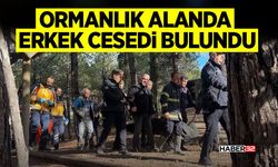 Ormanlık alanda erkek c*s*di bulundu