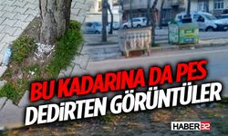 Isparta’da Çevre Duyarsızlığı: Sigara İzmariti Ağacın Dibine Atıldı