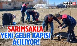 Şarkikaraağaç’ta Sarımsak Deneme Ekimi Başladı