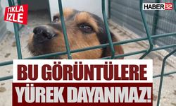 Gönüllüler Koşulların Yetersiz Olduğunu Öne Sürdü