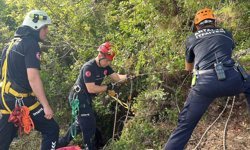 Dağlık alanda otlarken mağaraya düşen inek mağaraya inebilecek kasap bulunamayınca telef oldu