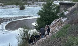 Manzara keyfi hastanede son buldu