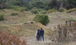 Ormanlık alanda bir kişinin cansız bedeni bulundu