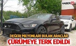 Değeri Milyonları Bulan Araçlar Çürümeye Terk Edildi
