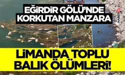 Eğirdir Gölü’nde Korkutan Manzara