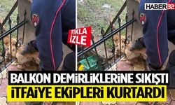Balkon Demirliklerine Sıkıştı İtfaiye Ekipleri Kurtardı