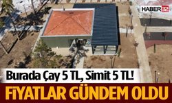 Millet Bahçesi Yaz Sezonuna Hazırlanıyor: Çay 5 TL, Simit 5 TL
