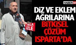 Diz Ve Eklem Ağrılarına Bitkisel Çözüm Isparta’da!