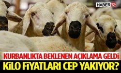 Kurbanlıkta Beklenen Açıklama Geldi: Kilo Fiyatları Cep Yakıyor mu?