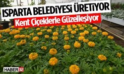 Isparta Belediyesi Üretiyor Kent Çiçeklerle Güzelleşiyor!