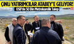 Çinli Yatırımcılar Atabey’e Geliyor!