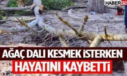Ağaç Dalı Kesmek İsterken Hayatını Kaybetti