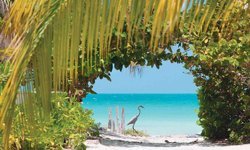 Holbox Adası Hangi Ülkede, Nerede?