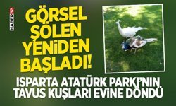 Isparta Atatürk Parkı’nın Tavus Kuşları Evine Döndü