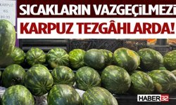 Karpuzlar Tezgâhlarda Yerini Aldı